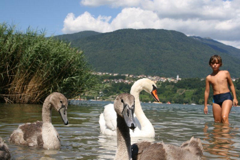 Click per vedere la foto successiva